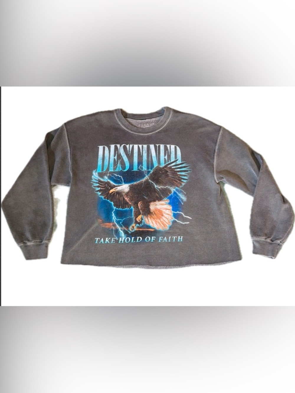 PacSun Destined Take Hold of FaithBald Eagle Graphic Cropped Sweatshirt  Medium
